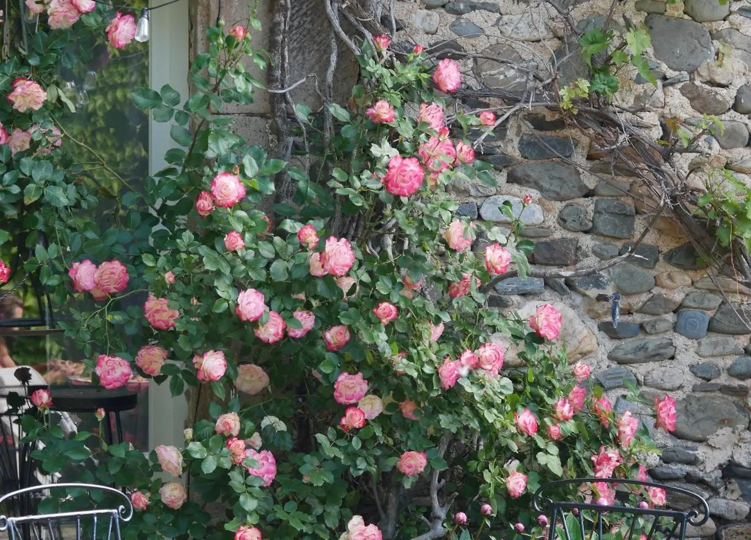 Brusque Les Jardins De Lumiere B&B